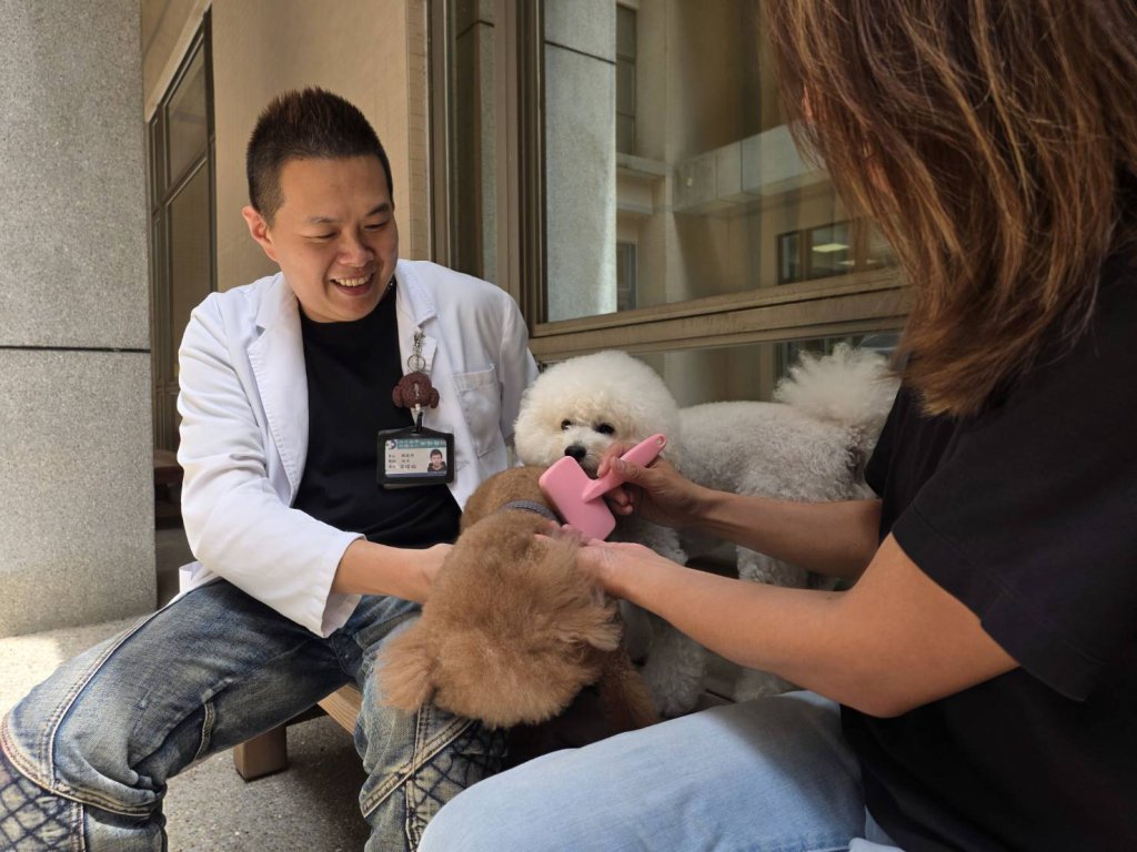 毛孩化身復健處方籤 ｜南勢醫院引進陪伴犬 助學員找回生命光亮