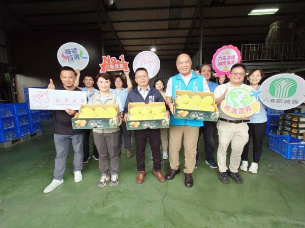高雄金煌芒果甜蜜登場  六龜農會領航首櫃外銷新加坡