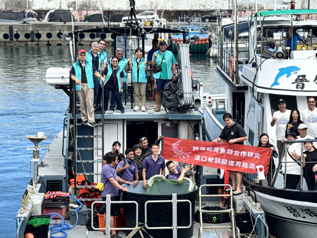 守護極危「波口鱟頭鱝」　海生館攜手國內外夥伴展開保育行動