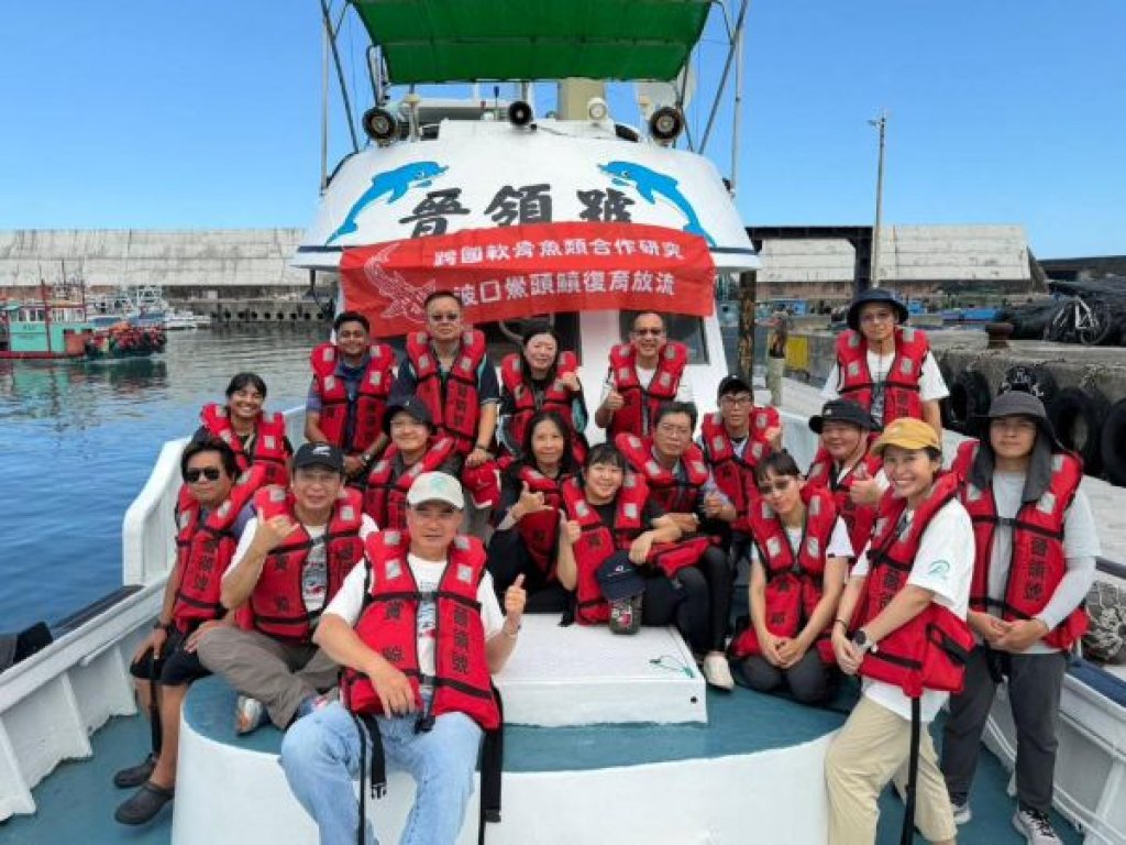  海保署推動波口鱟頭鱝跨國復育行動   結合國內外專業團隊共同守護波口鱟頭鱝