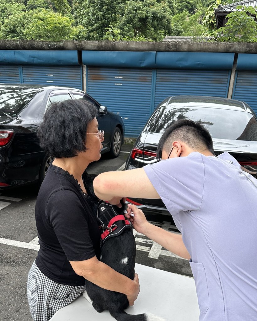謹守狂犬病「二不一要」原則｜全民一起做防疫