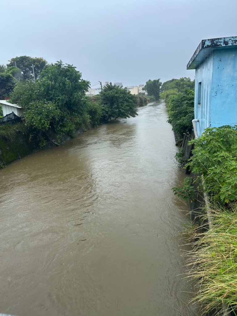 白珠珍代表冒雨巡視轄區　大排暫無災情、信義路巷內電桿下陷待修