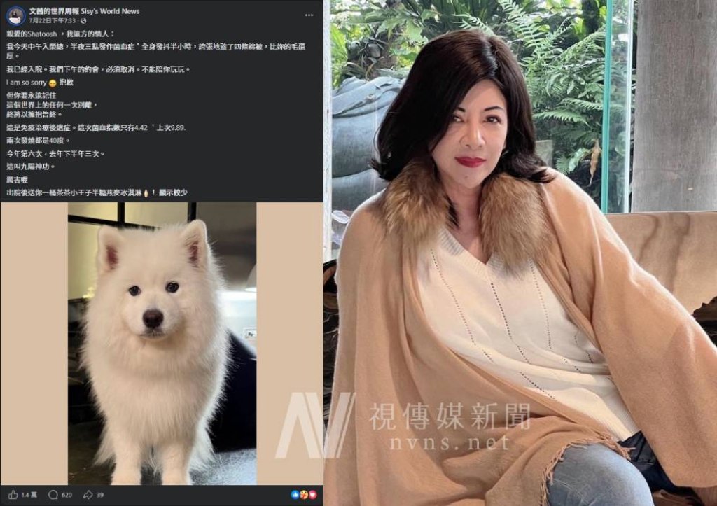 才喊「從今天起做幸福的人」 陳文茜出院不到3週又倒下　菌血症復發高燒40度急住院