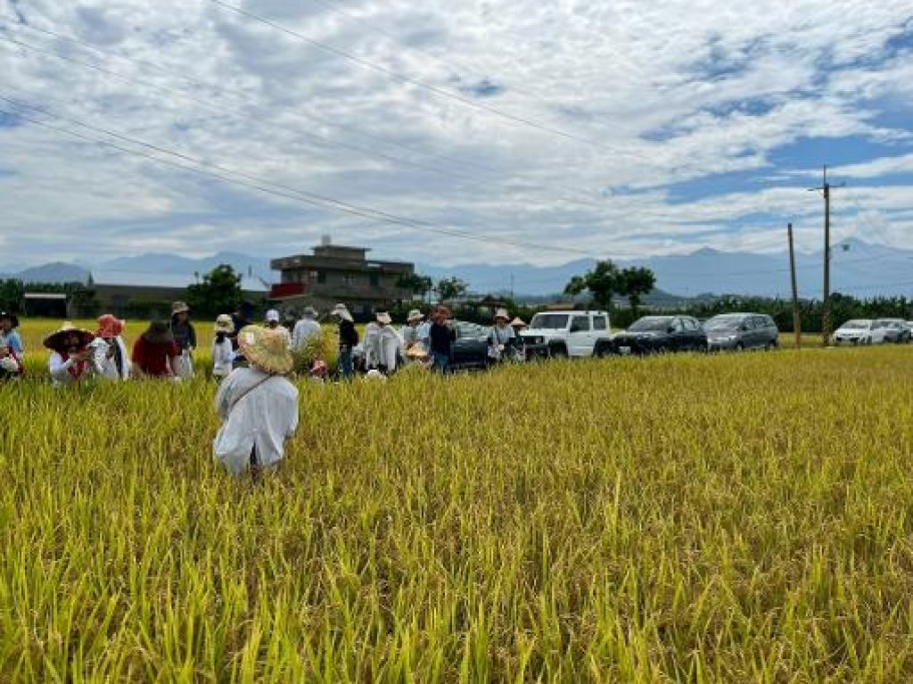 高雄客家米食節系列活動起跑 首推美濃食農小旅行 邀親子循著米香走進客庄