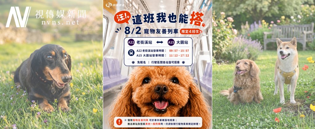毛孩也能搭捷運放風！桃捷8/2限定「寵物友善列車」開跑 免報名還能逛寵物展拿福袋