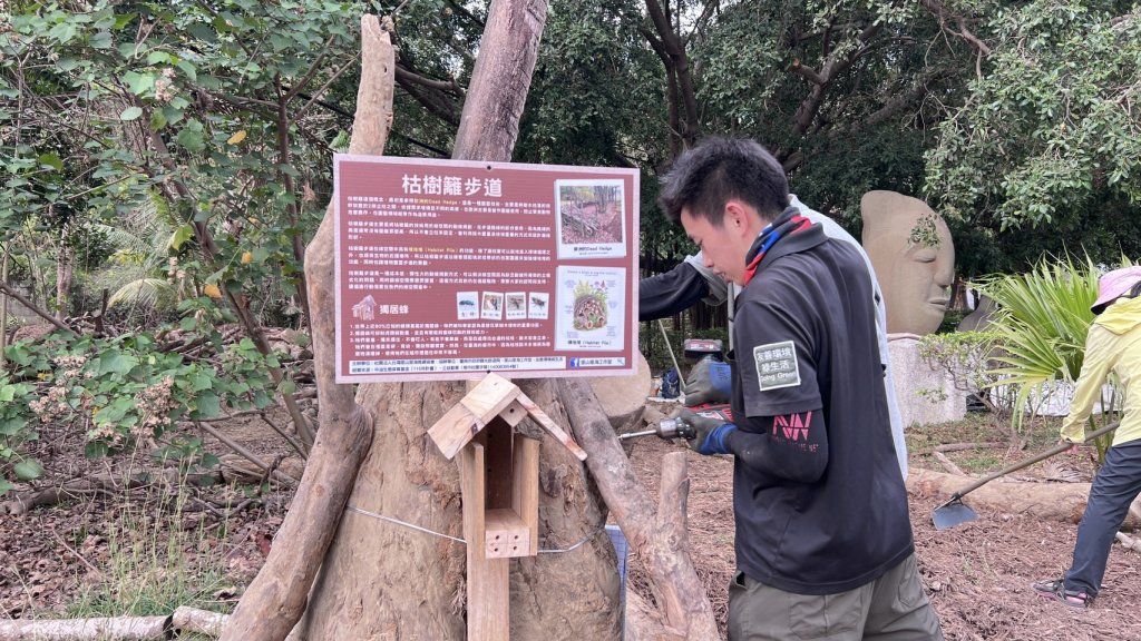 虎頭埤風景區「枯樹籬步道」生態復育有成 邀請民眾走進林間感受大自然生命力