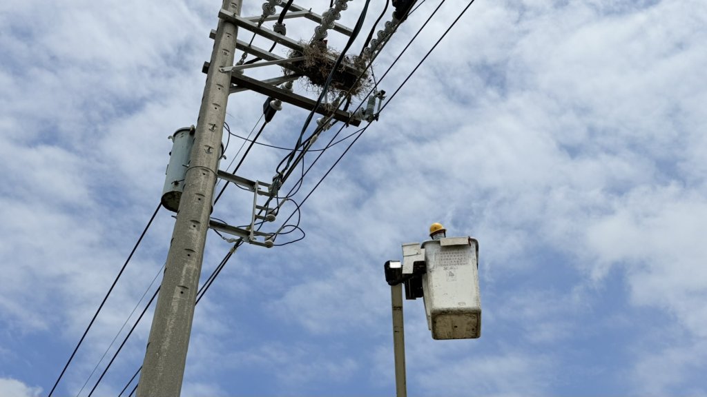 「白海豚」帶來風雨不容小覷  台電台南區處呼籲落實防範以防災損