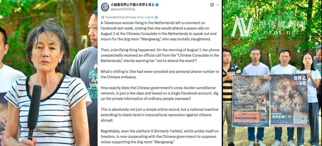 狗媽媽旺旺掀跨境風暴？旅荷台女聲援前突接警告電話 質疑海外監控黑手伸向歐洲