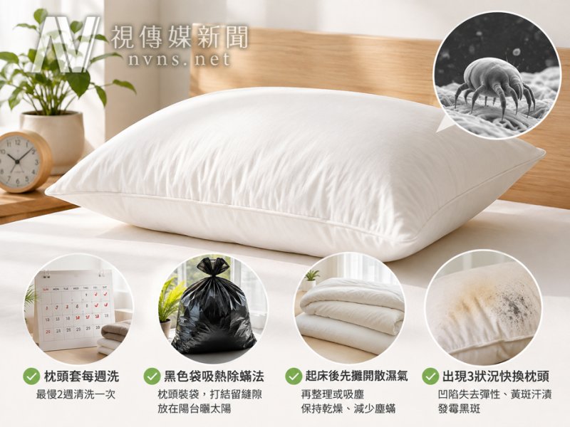 枕頭別急著曬！譚敦慈曝「黑色塑膠袋除蟎法」 出現這些狀況再不換恐藏滿塵蟎