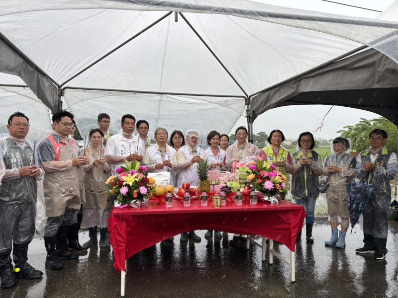 2026臺南好米季－菜奇鴨稻陣走插秧活動開跑 邀民眾國慶假期暢遊臺南