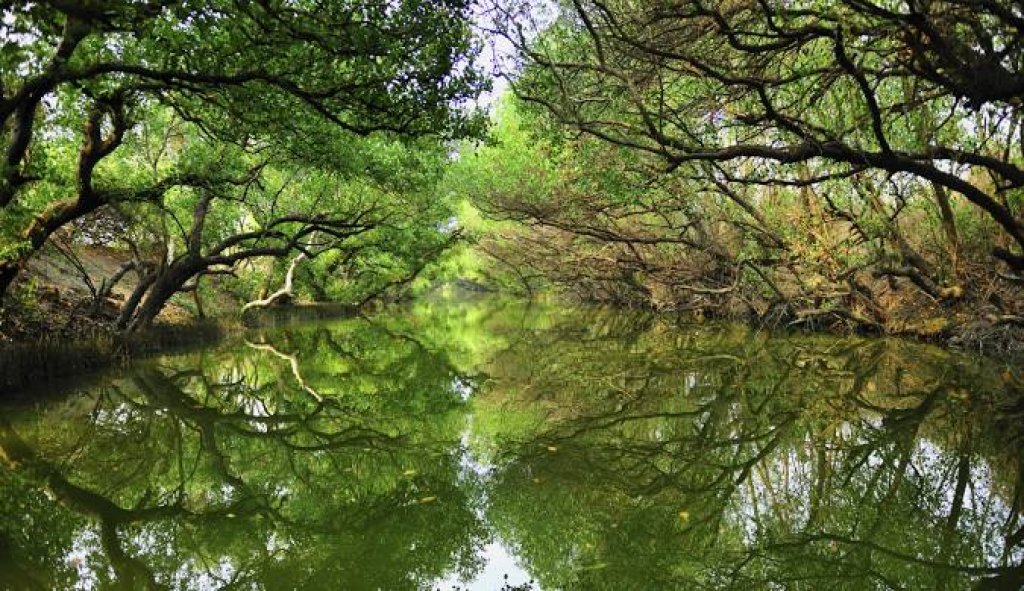台南 ~四草＆七股＆北門Happy黑琵生態地方風味餐之旅