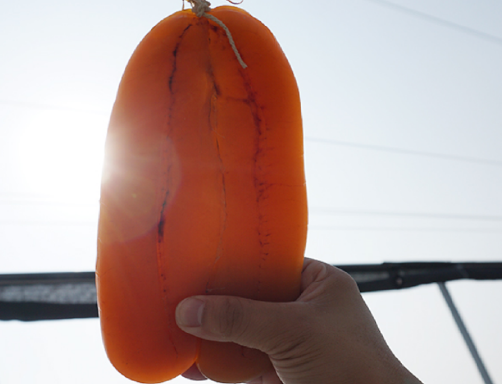 爺爺與烏魚子的故事-做烏魚子跟做人一樣，一定要秉持『實在做，做實在』的態度